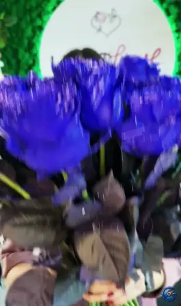 Изображения ЦветLove Image 1