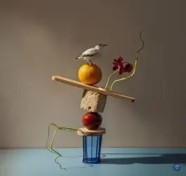 Изображения Photoplay Image 1