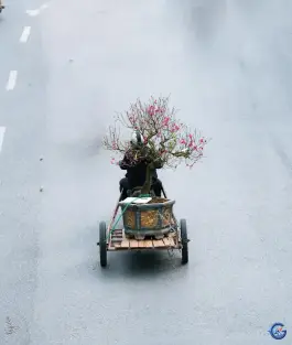 Изображения Photoplay Image 8